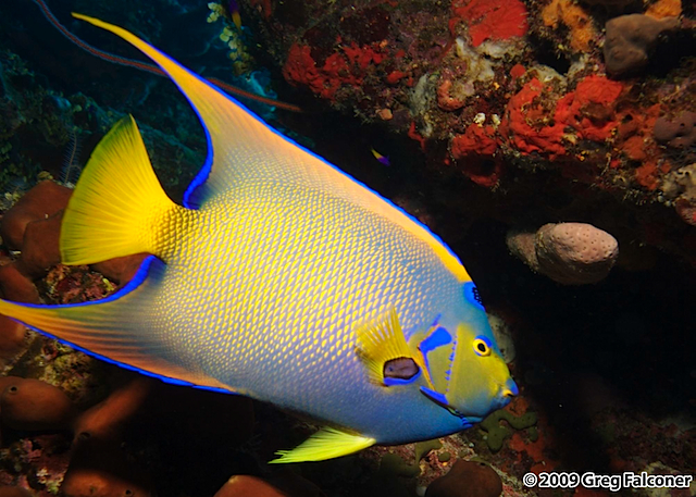 _MG_2955 - Version 2