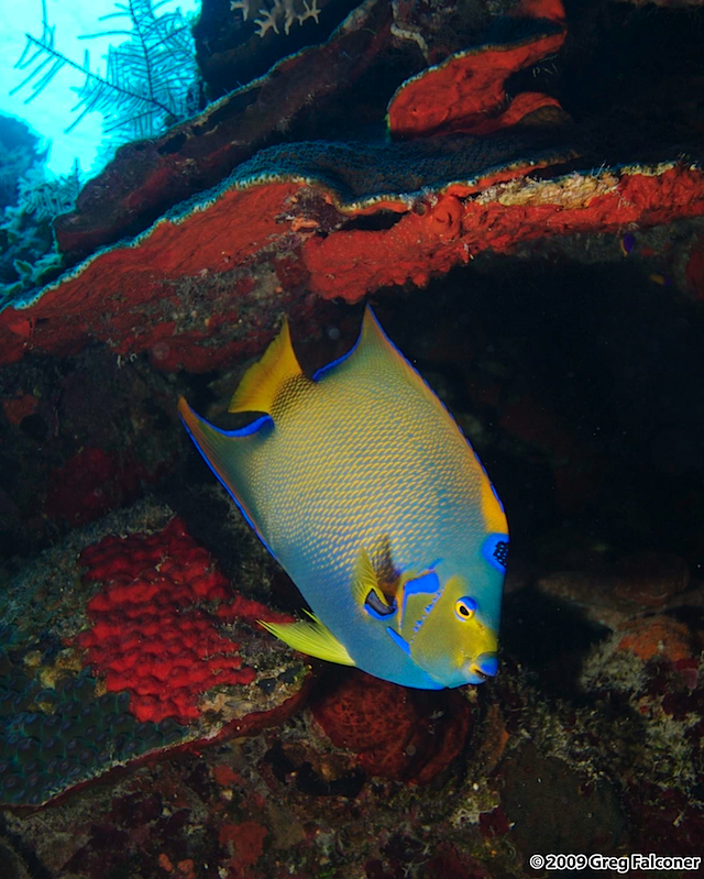 _MG_2963 - Version 3