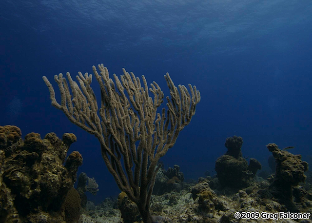 _MG_3066 - Version 2