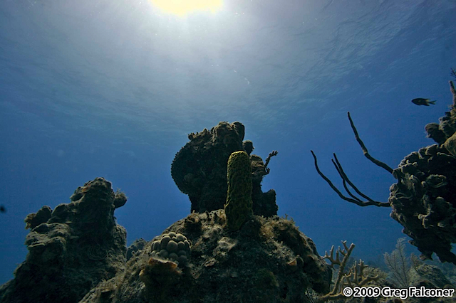 _MG_3068 - Version 2