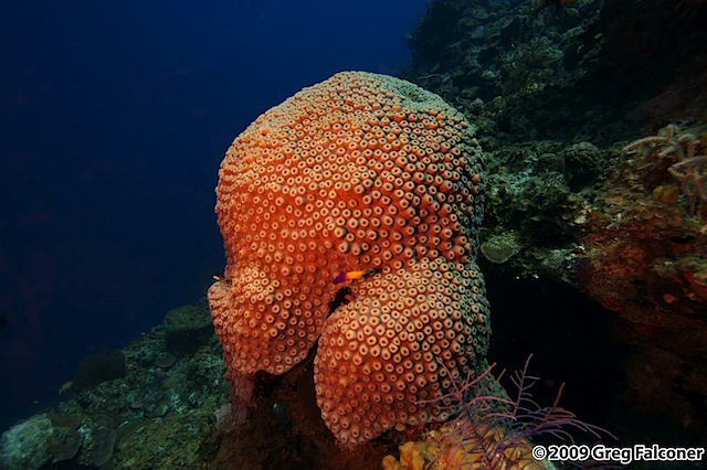 _MG_3080 - Version 3