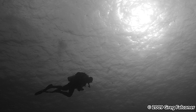 _MG_3831 - Version 5